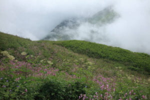 How should one can plan a journey to Valley of Flowers, Chamoli, Uttarakhand? 