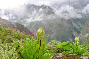 How should one can plan a journey to Valley of Flowers, Chamoli, Uttarakhand? 