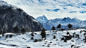  Why should you visit Auli this winter? 