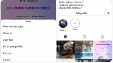 Instagram Tests Feature That Lets Users Pin Grid Posts on Their Profiles