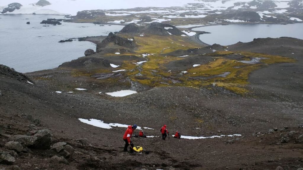 Bacteria With Antibiotic, Antimicrobial Resistance Discovered in Antarctica