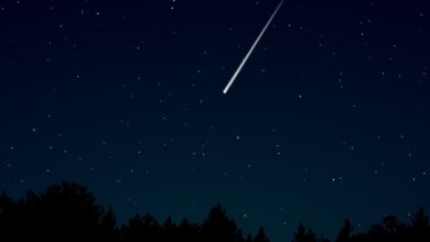 The Eta Aquariid Meteor Shower Is Set to Light Up the Skies. Here’s How to Get the Best Seat in the House