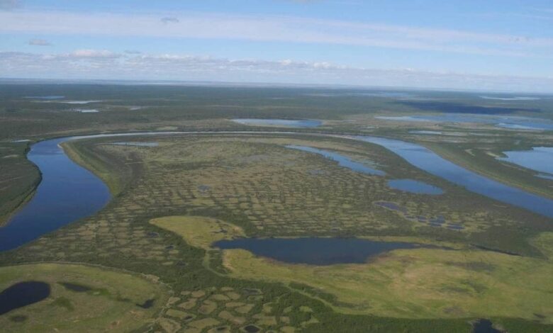 Siberian Tundra Could Virtually Disappear Due To Rising Global Temperatures, Says Study