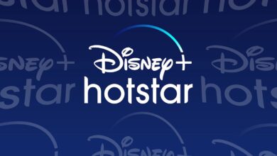 IPL 2022: Disney+ Hotstar Adds Audio Descriptive Commentary in Hindi for Ongoing Matches