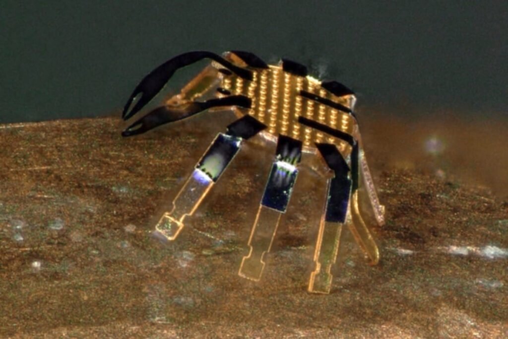 This Crab Is the World’s Tiniest Remote-Controlled Walking Robot