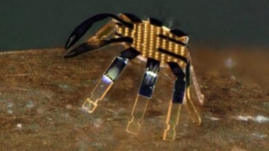 This Crab Is the World’s Tiniest Remote-Controlled Walking Robot