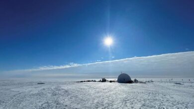 Secret Ecosystem Found Under Icy Antarctica Surface by Researchers