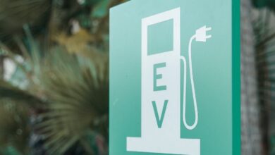 Haryana Government Approves State EV Policy, Announces SOPs to Manufacturers