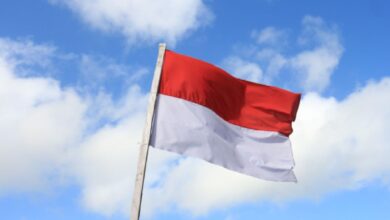 Indonesian Crypto Exchange Pintu Raises $113 Million in Series B Funding
