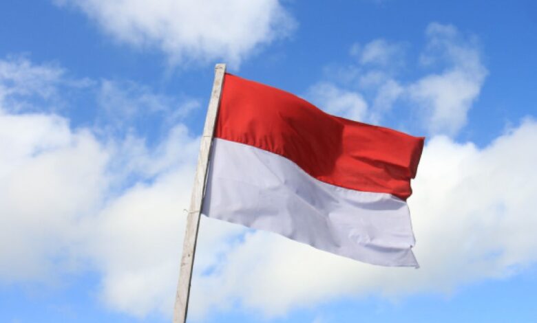 Indonesian Crypto Exchange Pintu Raises $113 Million in Series B Funding
