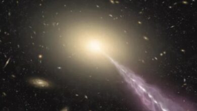Mysterious Radio Structures Erupting From Black Hole Discovered in Massive Galaxy