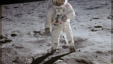 NASA Orders to Halt the Sale of Moon Dust Collected During the 1969 Apollo 11 Mission