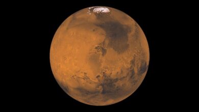 Clay-Bearing Sediments on Mars Indicate Life May Have Thrived on the Red Planet Billion Years Ago