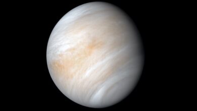 Possibility of Finding Living Organisms on Venus Slim, New Analysis Suggests