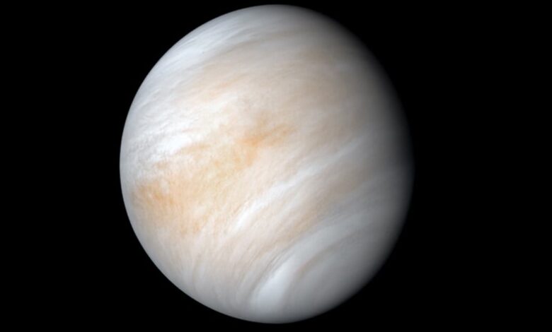 Possibility of Finding Living Organisms on Venus Slim, New Analysis Suggests