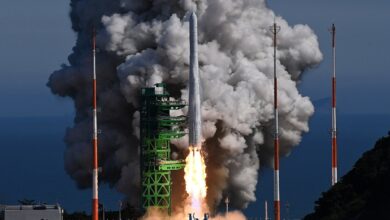 South Korea Launches Its First Domestically-Developed Space Rocket