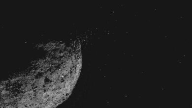 Asteroid Bennu’s Surface Like a Pit of Plastic Balls, NASA’s Spacecraft Almost Sank Into It, Say Scientists