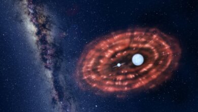 Astronomers From China, Australia Jointly Discover Binary System Ejecting Common Envelope