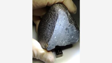 Data From Black Beauty Martian Meteorite May Shed Light on Mars