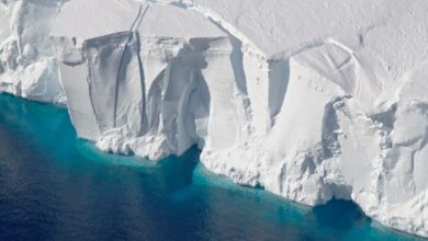 NASA’s Satellite Imagery Shows Antarctic Ice Shelf Crumbling Faster Than Imagined