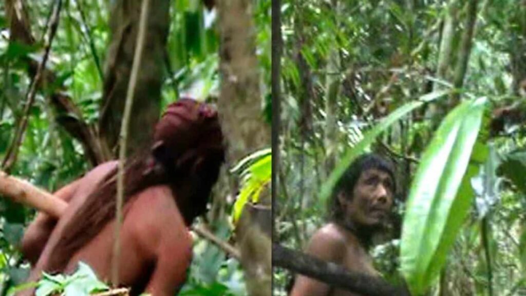 The world’s only man died, lived in the jungles of the Amazon