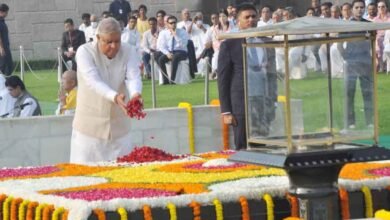 ‘Bapu’ a ray of hope for entire humanity: Vice President