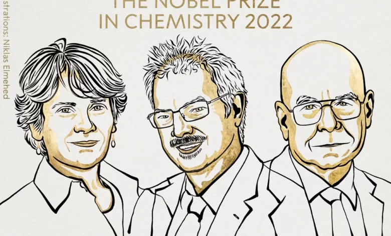 2022 Nobel Prize in Chemistry goes to trio that developed creative tool for building molecules