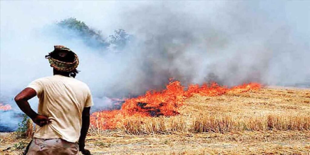 Delhi’s air quality again ‘very poor’, Punjab burns record stubble