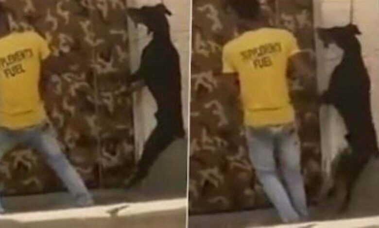 इंसानियत हुई शर्मसार: 3 युवकों ने की बर्बरता की हदें पार, कुत्ते के गले में जंजीर डाल लगा दी फांसी, VIDEO वायरल