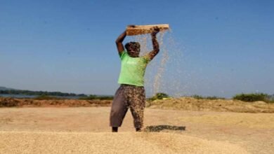 So far 10 lakh metric tonnes of paddy has been procured in Chhattisgarh