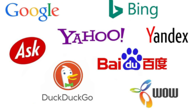 top search engines in India