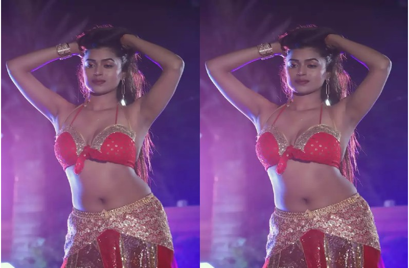 This Bhojpuri beauty danced wearing a Ghaghra choli, fans were sweating even in winter after watching the video