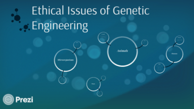 Ethical Considerations in Genetic Engineering