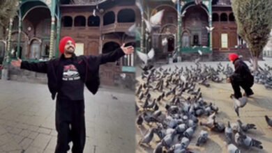 Diljit Dosanjh reached ‘heaven on earth’, told peace to Kashmir